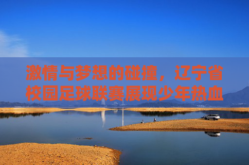 激情与梦想的碰撞,辽宁省校园足球联赛展现少年热血与体育新风尚