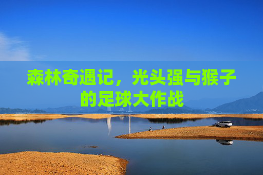 森林奇遇记,光头强与猴子的足球大作战