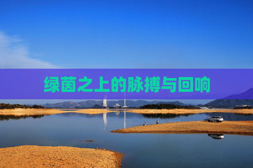 绿茵之上的脉搏与回响