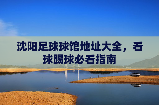沈阳足球球馆地址大全,看球踢球必看指南