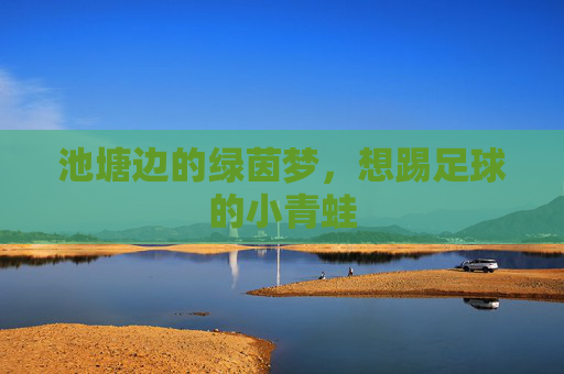 池塘边的绿茵梦，想踢足球的小青蛙