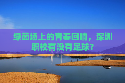 绿茵场上的青春回响,深圳职校有没有足球?