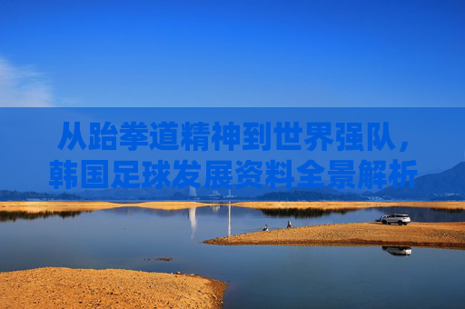 从跆拳道精神到世界强队,韩国足球发展资料全景解析