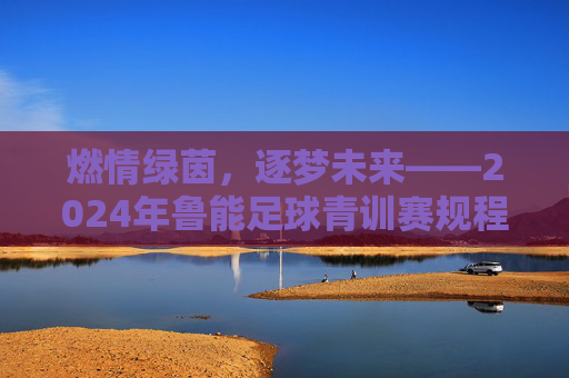 燃情绿茵,逐梦未来——2024年鲁能足球青训赛规程全解析