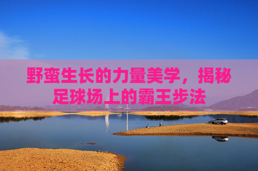野蛮生长的力量美学,揭秘足球场上的霸王步法
