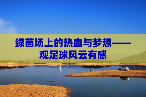 绿茵场上的热血与梦想——观足球风云有感