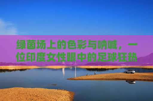 绿茵场上的色彩与呐喊,一位印度女性眼中的足球狂热