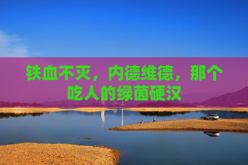 铁血不灭，内德维德，那个吃人的绿茵硬汉