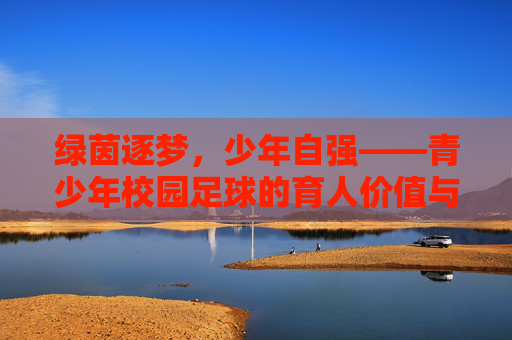 绿茵逐梦，少年自强——青少年校园足球的育人价值与未来展望