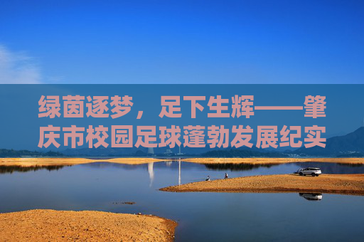 绿茵逐梦，足下生辉——肇庆市校园足球蓬勃发展纪实