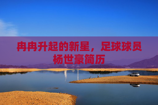 冉冉升起的新星,足球球员杨世豪简历