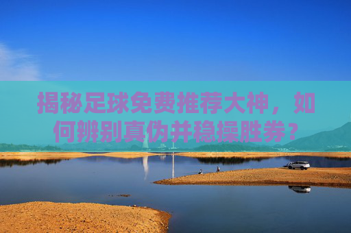 揭秘足球免费推荐大神,如何辨别真伪并稳操胜券?