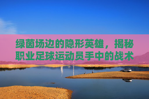 绿茵场边的隐形英雄,揭秘职业足球运动员手中的战术水杯