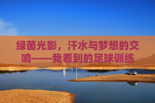 绿茵光影，汗水与梦想的交响——我看到的足球训练