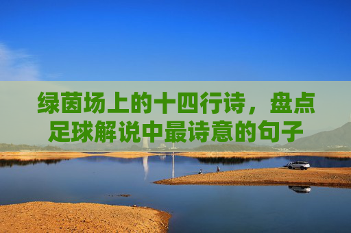 绿茵场上的十四行诗，盘点足球解说中最诗意的句子