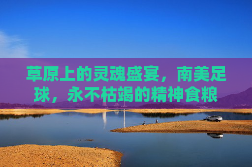草原上的灵魂盛宴,南美足球,永不枯竭的精神食粮