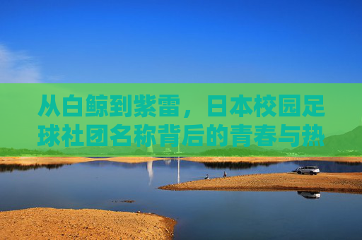从白鲸到紫雷，日本校园足球社团名称背后的青春与热血