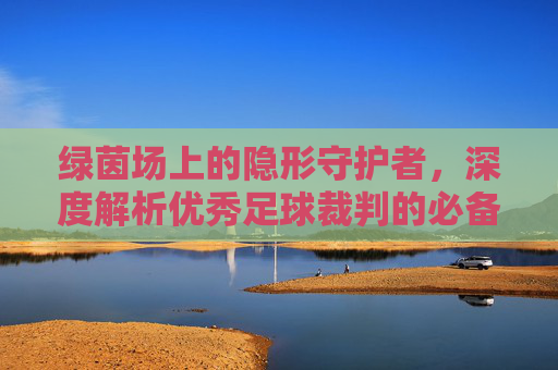 绿茵场上的隐形守护者,深度解析优秀足球裁判的必备条件