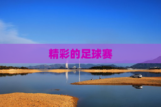 精彩的足球赛