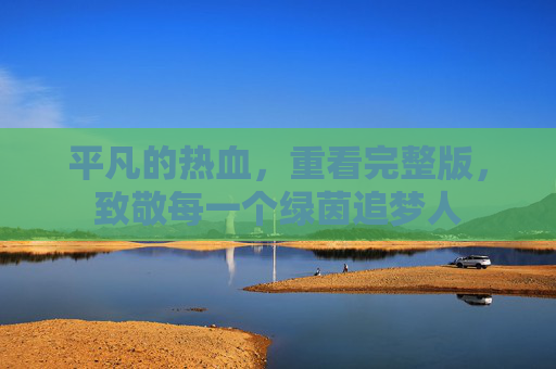 平凡的热血，重看完整版，致敬每一个绿茵追梦人