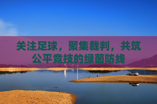 关注足球,聚集裁判,共筑公平竞技的绿茵防线