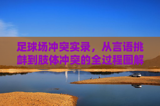 足球场冲突实录，从言语挑衅到肢体冲突的全过程图解
