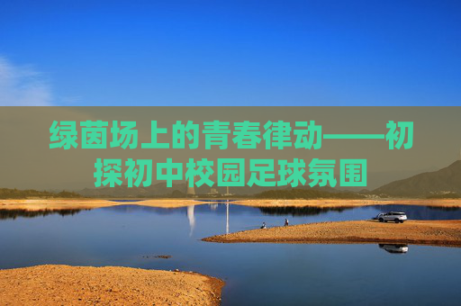 绿茵场上的青春律动——初探初中校园足球氛围