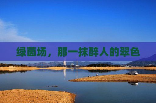 绿茵场，那一抹醉人的翠色