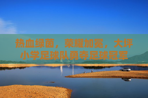 热血绿茵,荣耀加冕,大坪小学足球队勇夺足球冠军