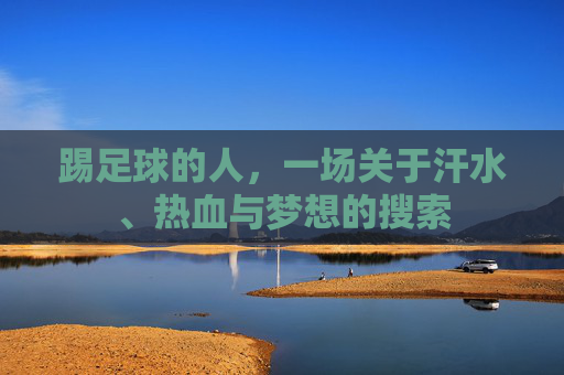 踢足球的人，一场关于汗水、热血与梦想的搜索
