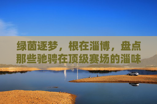 绿茵逐梦，根在淄博，盘点那些驰骋在顶级赛场的淄味足球健将