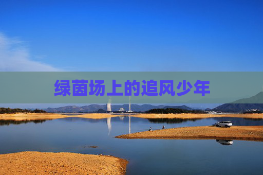 绿茵场上的追风少年