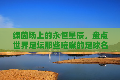 绿茵场上的永恒星辰,盘点世界足坛那些璀璨的足球名将