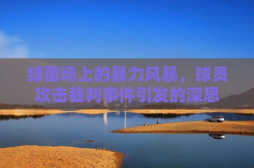 绿茵场上的暴力风暴,球员攻击裁判事件引发的深思