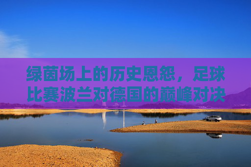 绿茵场上的历史恩怨,足球比赛波兰对德国的巅峰对决