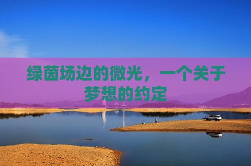 绿茵场边的微光,一个关于梦想的约定