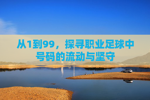 从1到99,探寻职业足球中号码的流动与坚守