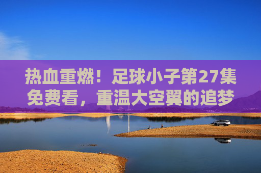 热血重燃！足球小子第27集免费看，重温大空翼的追梦之旅