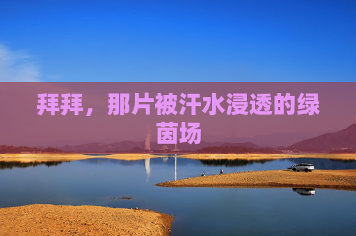 拜拜,那片被汗水浸透的绿茵场