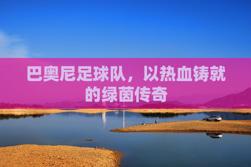 巴奥尼足球队,以热血铸就的绿茵传奇