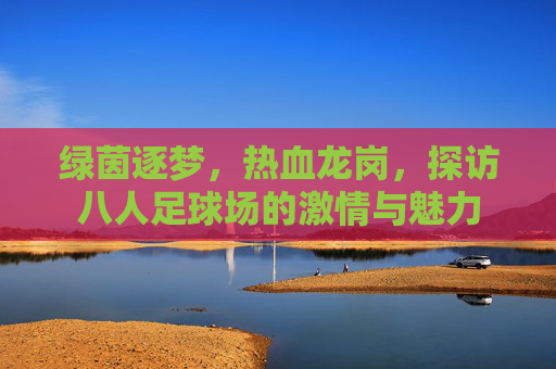 绿茵逐梦,热血龙岗,探访八人足球场的激情与魅力