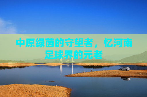 中原绿茵的守望者，忆河南足球界的元老