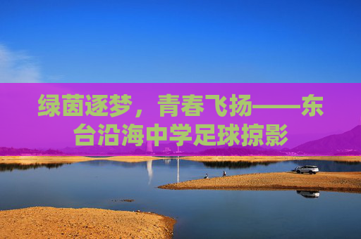 绿茵逐梦,青春飞扬——东台沿海中学足球掠影