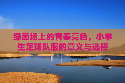 绿茵场上的青春亮色,小学生足球队服的意义与选择
