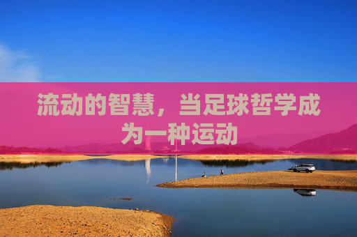 流动的智慧,当足球哲学成为一种运动