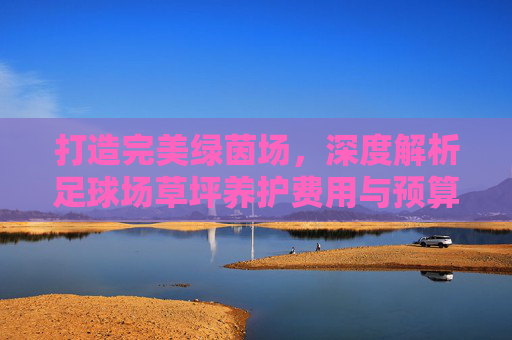 打造完美绿茵场,深度解析足球场草坪养护费用与预算规划