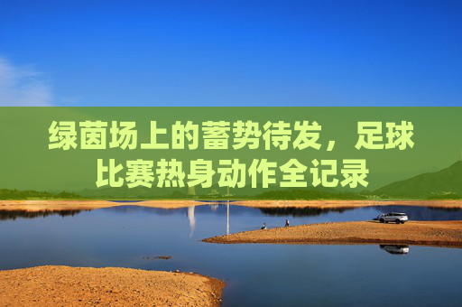 绿茵场上的蓄势待发,足球比赛热身动作全记录