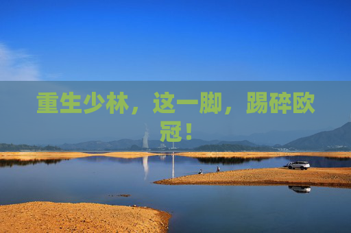 重生少林,这一脚,踢碎欧冠!