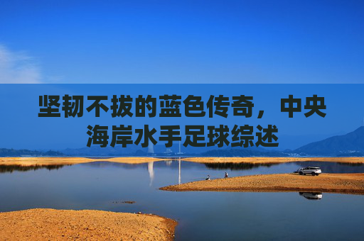 坚韧不拔的蓝色传奇,中央海岸水手足球综述