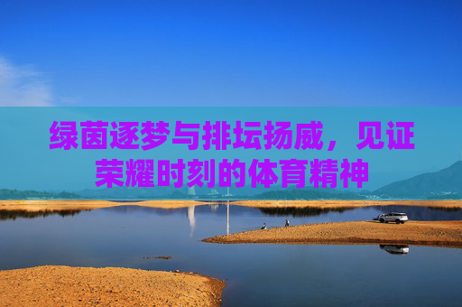 绿茵逐梦与排坛扬威，见证荣耀时刻的体育精神